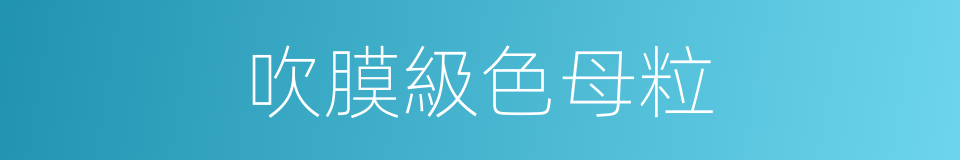 吹膜級色母粒的同義詞