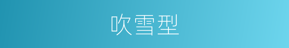 吹雪型的同义词