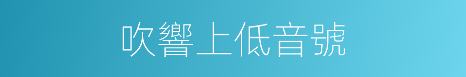 吹響上低音號的同義詞