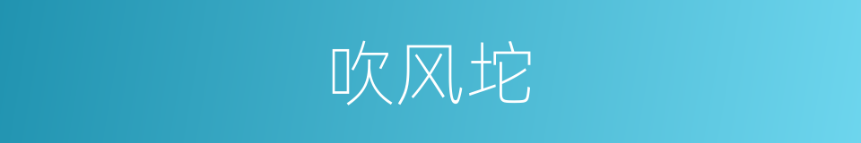 吹风坨的同义词