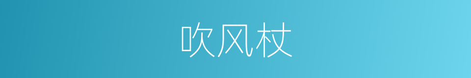 吹风杖的同义词