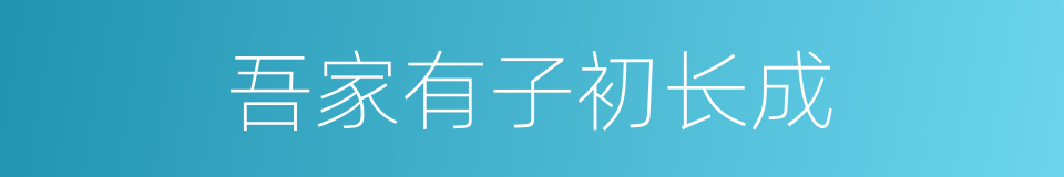 吾家有子初长成的同义词