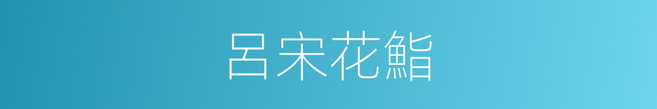 呂宋花鮨的同義詞