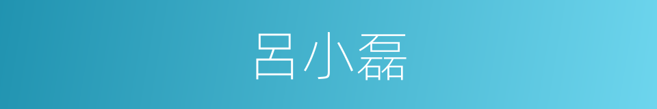 呂小磊的同義詞