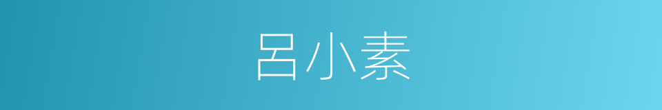 呂小素的同義詞