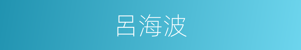 呂海波的同義詞