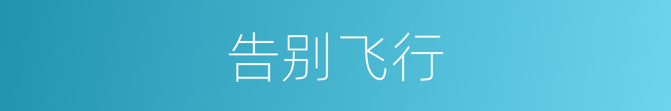 告别飞行的同义词