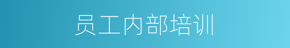 员工内部培训的同义词