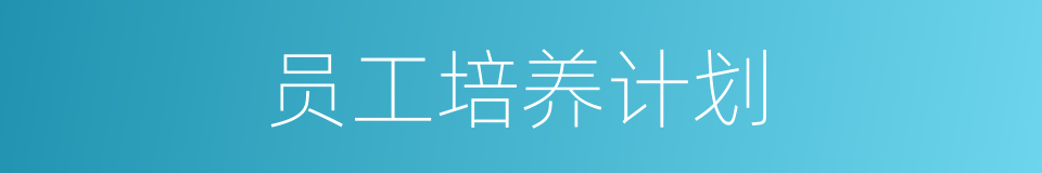 员工培养计划的同义词