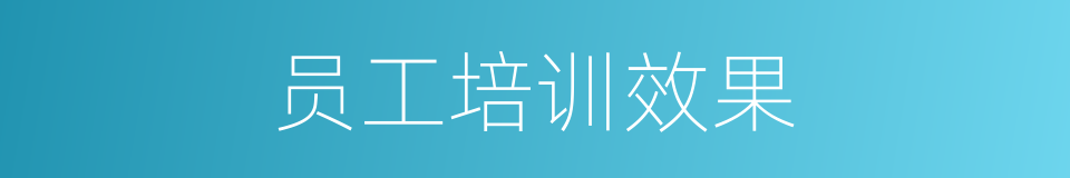 员工培训效果的同义词