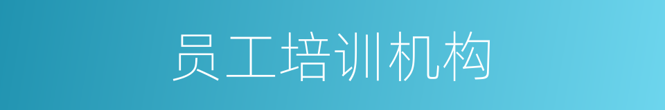 员工培训机构的同义词
