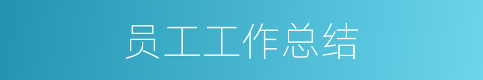 员工工作总结的同义词