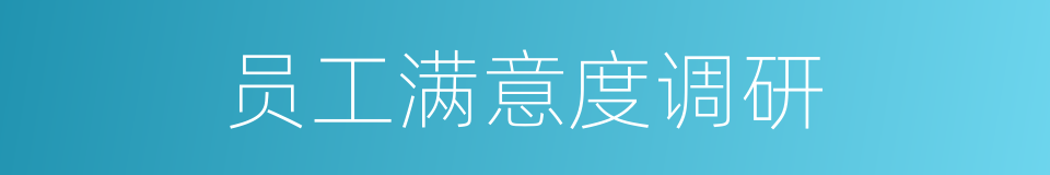 员工满意度调研的同义词