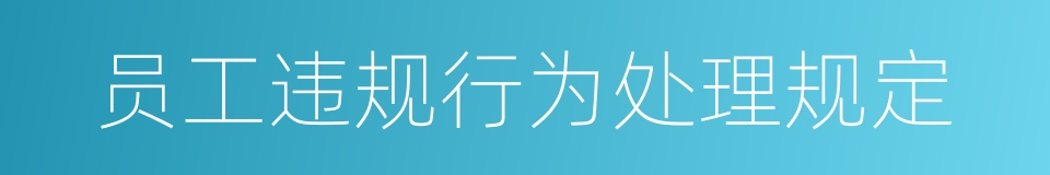 员工违规行为处理规定的同义词