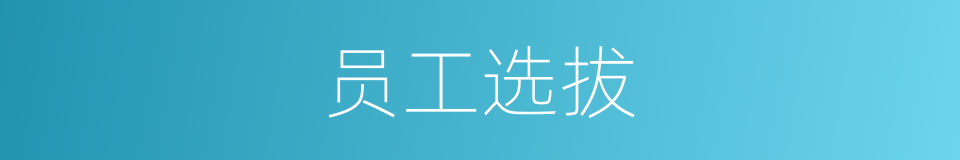 员工选拔的同义词
