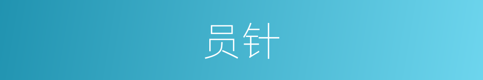 员针的意思