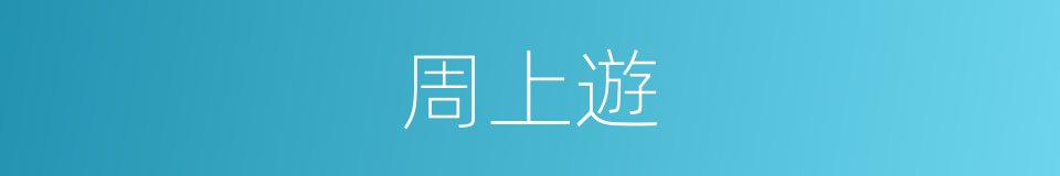 周上遊的同義詞