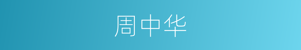 周中华的同义词