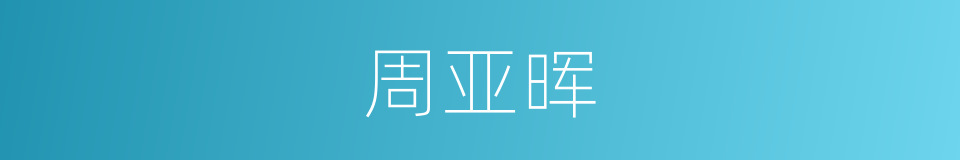周亚晖的同义词