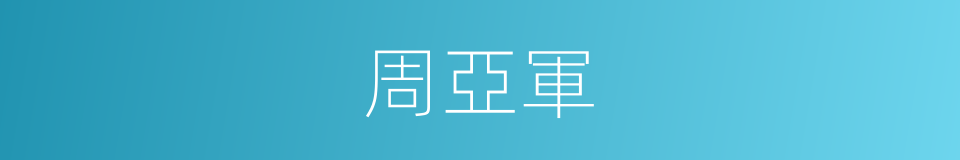 周亞軍的同義詞