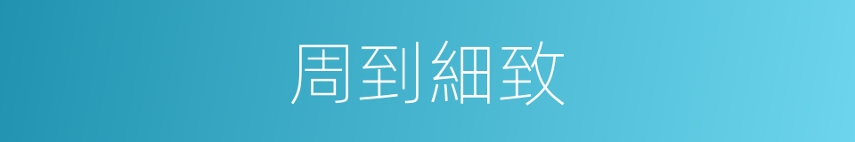周到細致的同義詞