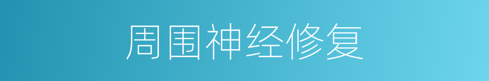 周围神经修复的同义词