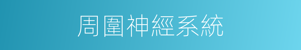 周圍神經系統的同義詞