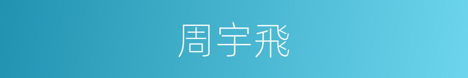 周宇飛的同義詞