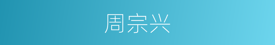 周宗兴的同义词