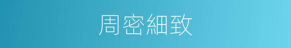 周密細致的同義詞