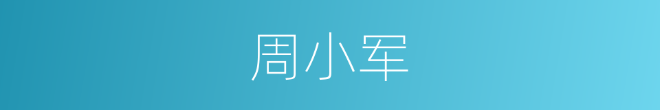 周小军的同义词