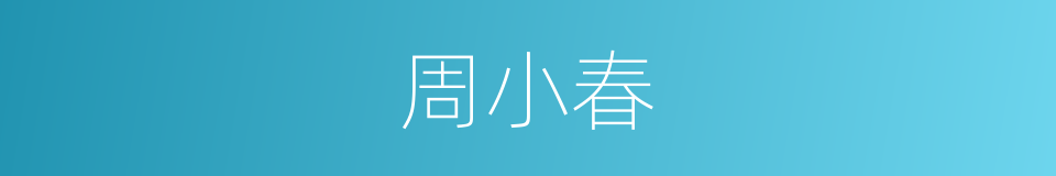 周小春的同义词