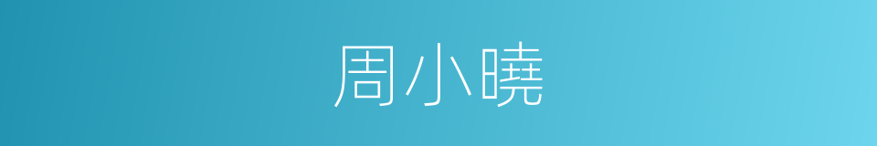 周小曉的同義詞