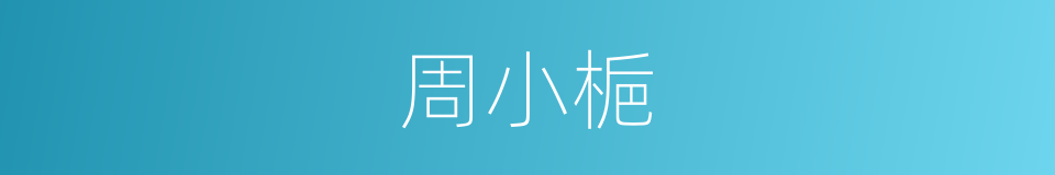 周小梔的同義詞