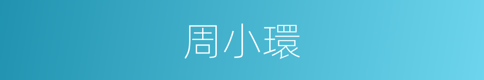 周小環的同義詞