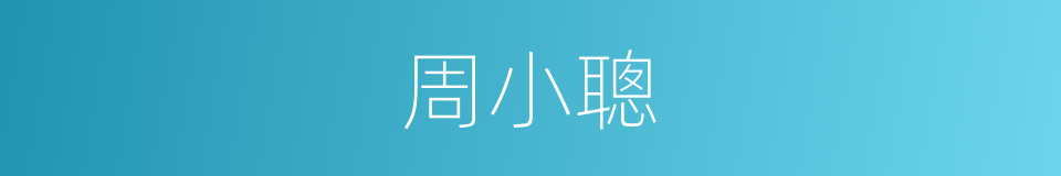 周小聰的同義詞