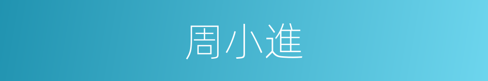周小進的同義詞