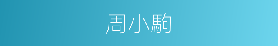 周小駒的同義詞