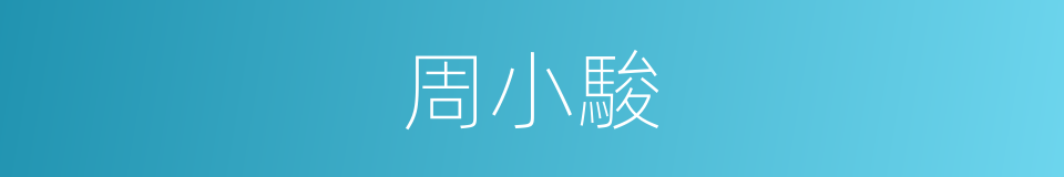 周小駿的同義詞