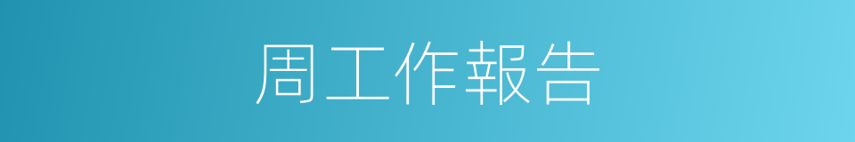 周工作報告的同義詞