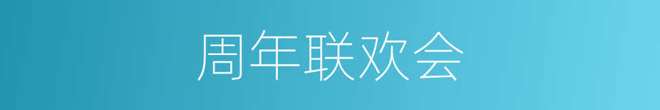 周年联欢会的同义词