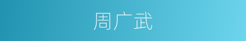 周广武的同义词