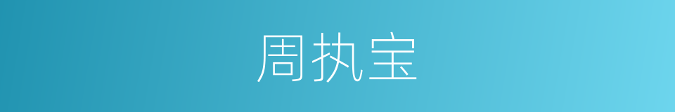 周执宝的同义词