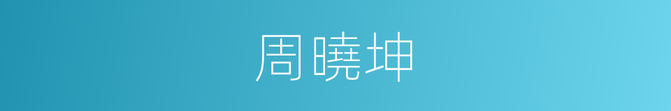 周曉坤的同義詞