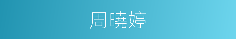 周曉婷的同義詞