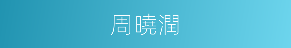 周曉潤的同義詞