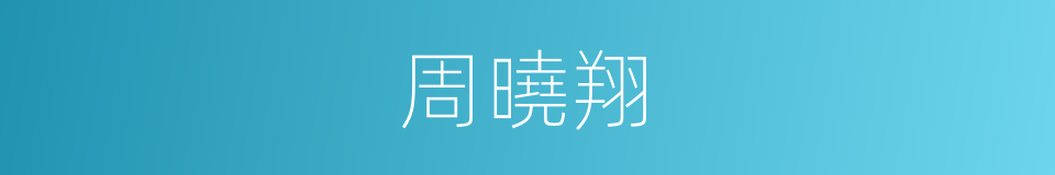 周曉翔的同義詞