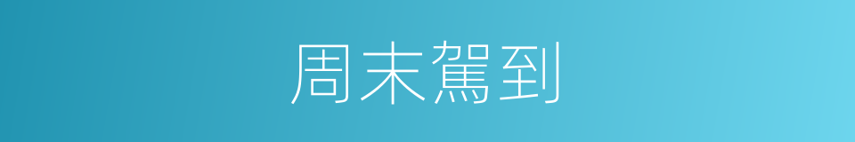 周末駕到的同義詞