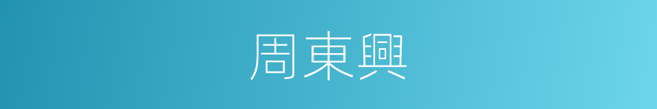 周東興的同義詞