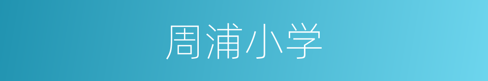 周浦小学的同义词